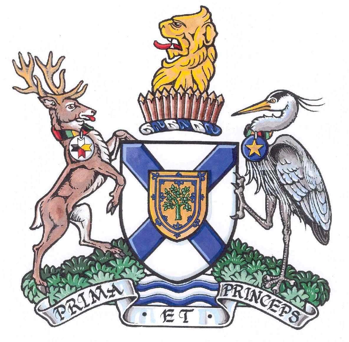 Drawn coat of arms with forest animals free image download