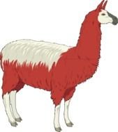 Cartoon Llama Clip Art N13