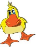 Raccoon Face duck drawing
