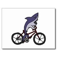 Bicycle Riding Cartoon N2
