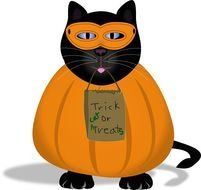 Halloween Black Cat N7