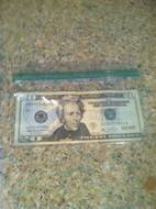 20 dollars bill in plastic file