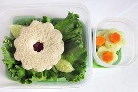 vegetarian Lunch in box