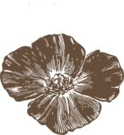 Red Poppy Flowers Clip Art N6