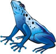 Blue Frog Clip Art Free