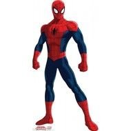 Spider Man Cartoon N14