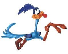 Cartoon Road Runner Bird