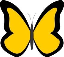 painted black and yellow butterfly