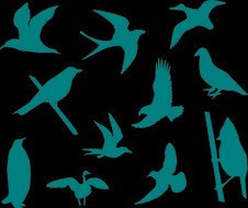 Flying Bird Silhouette Clip Art N19