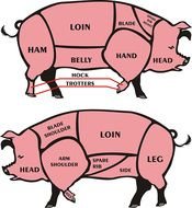 Pig Butchering