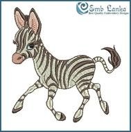 Cute Baby Zebra