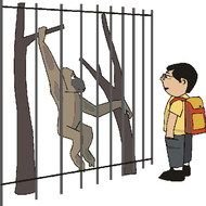 Zoo Clip Art N33
