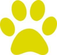 Gold Paw Print Clip Art N4