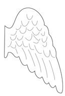 painted one white wing