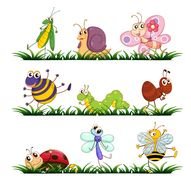 Cartoon Bugs And Insects N8