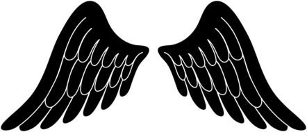 Black and white Angel Wings, drawing