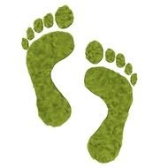 Foot Prints drawing