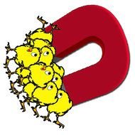 Funny Cartoon Baby Chicks