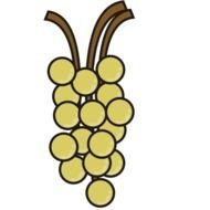 Fruit Clip Art N115