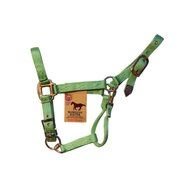 photo of green harness for dogs