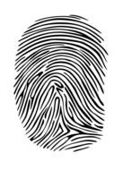 Fingerprint Logo drawing