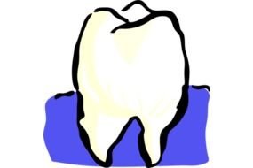 Dentist Teeth Tooth Mouth Vector Clip Art