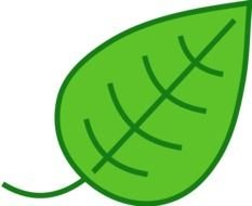 green leaf outline on a black background