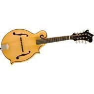 Gibson F Style Mandolins