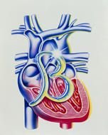 Heart Disease Art