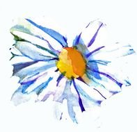 Daisy Clip Art N48