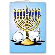 Westie Terrier Hanukkah Card By KiniArt Artist Kim Niles copy