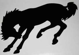 Bucking Horse Clip Art drawing