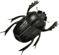 Black And White Bug Clip Art N11