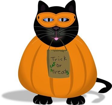 Halloween Black Cat N7