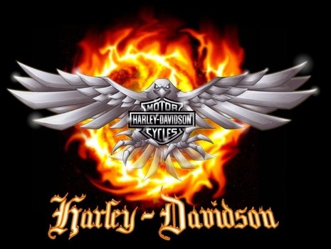 Harley Davidson Logo With Flames