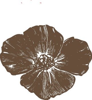 Red Poppy Flowers Clip Art N6