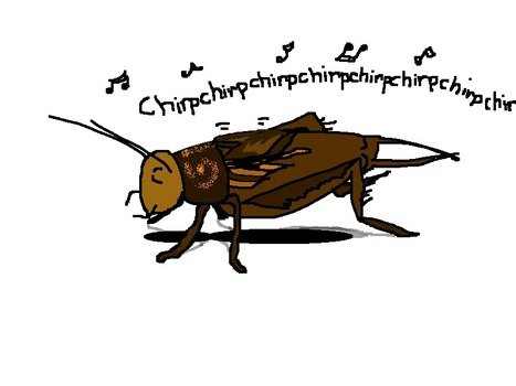 clipart of the Cricket Chirping Sounds