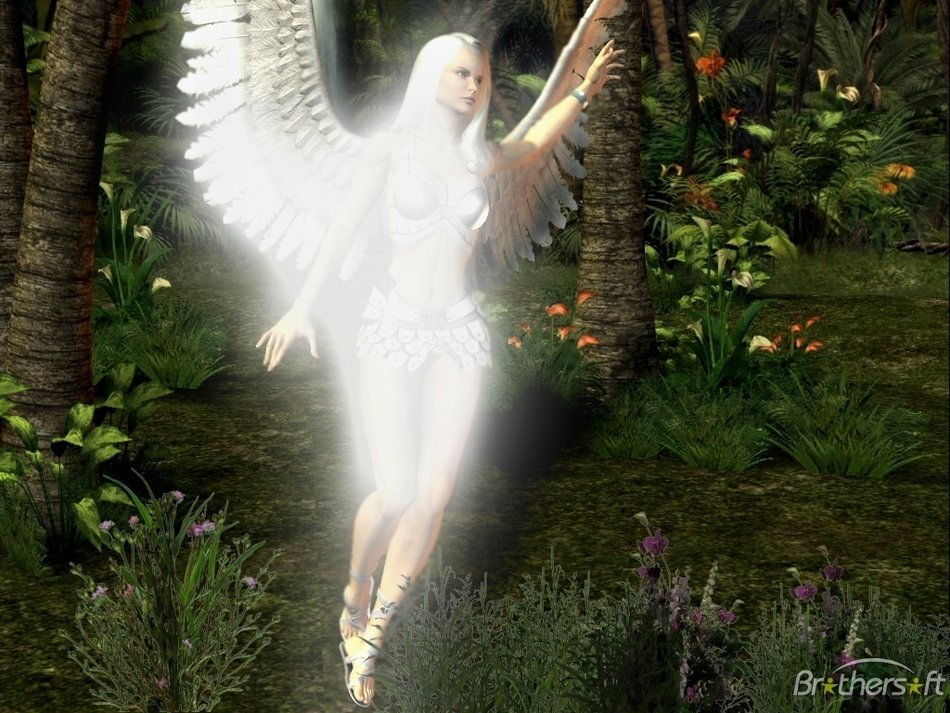 clipart of the Morning Angel