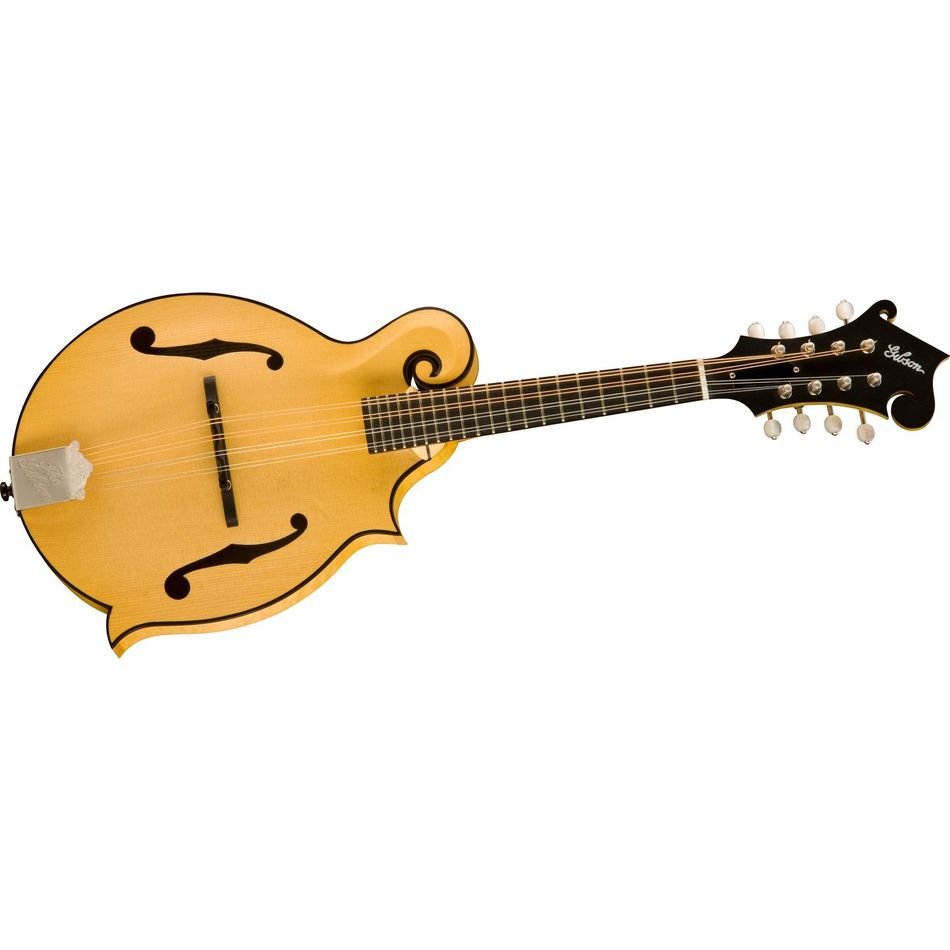 Gibson F Style Mandolins