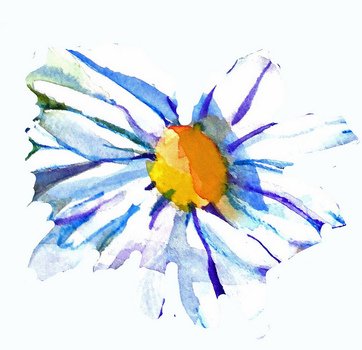 Daisy Clip Art N48