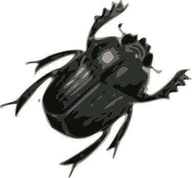Black And White Bug Clip Art N11
