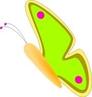 Butterfly Clip Art N174