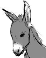 gray sketch of a donkey's head