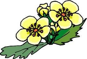 Yellow Flower Clip Art N44