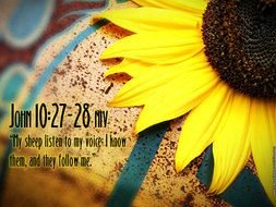 bright Christian Wallpaper With Bible Verse