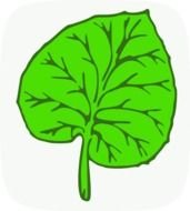 green leaf computer image