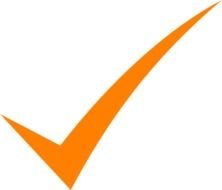 Orange Check Mark Clip Art N3