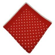 red handkerchief in polka dot