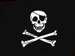 painted black pirate flag