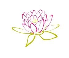 Lotus drawing